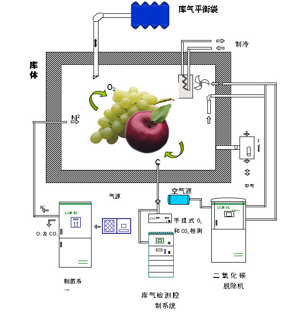 氣調(diào)冷庫(kù)3.png